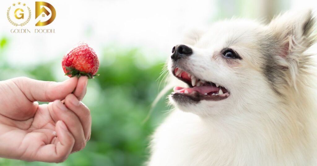 Nutritional Value of Strawberries