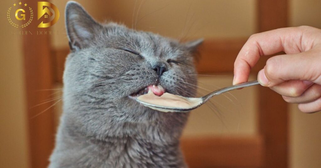 Cats Have Peanut Butter