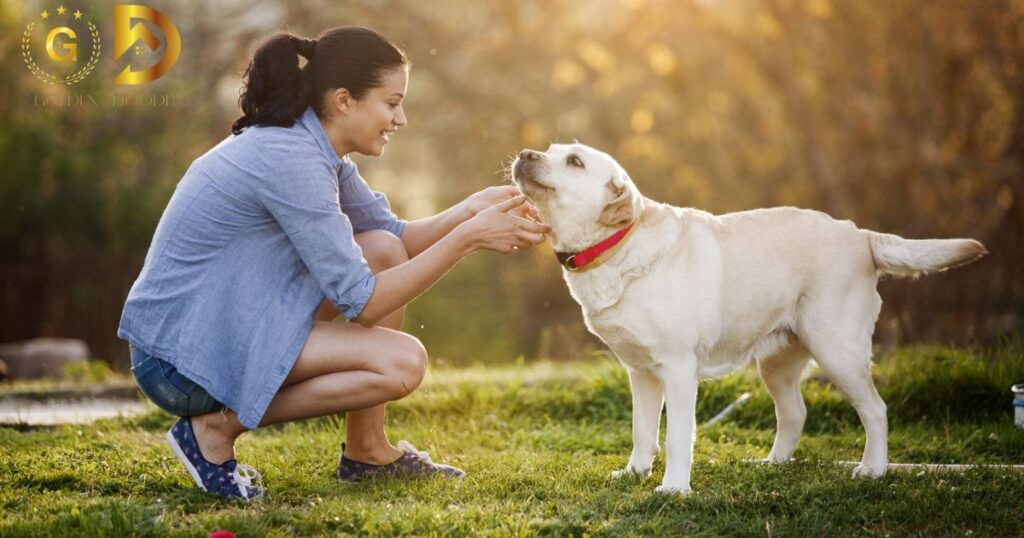 Alternatives to Strawberries for Dogs