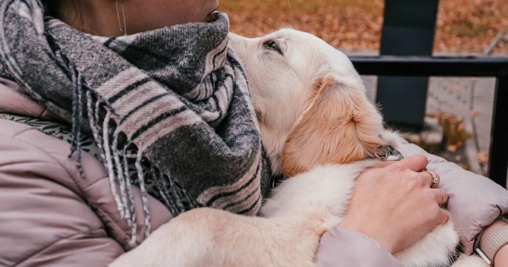 Dog Buries Their Head into You